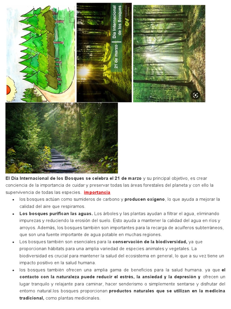 Dia Internacional de Los Bosques | PDF