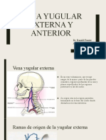 Anato Yugular Externa y Anterior