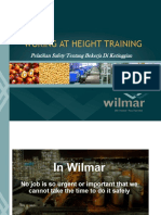 Working at Height PDF