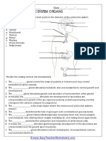 Endoctrine System