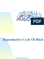 Estruscycleofbitch 170215193820 PDF