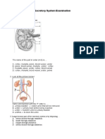 Excretory exam-word 2_Gd 8 Penabur