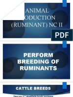 3 Perform Breeding of Ruminants