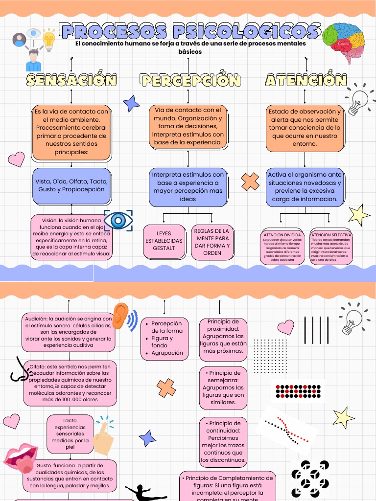 Sensacion, Percepcion y Atencion | PDF | Percepción | Percepción visual
