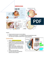 Oftalmologia 1P Guia