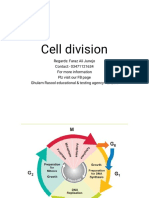 Cell division-WPS Office