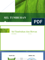 SEL tumbuhan