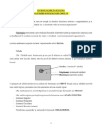 Carte Anatomie