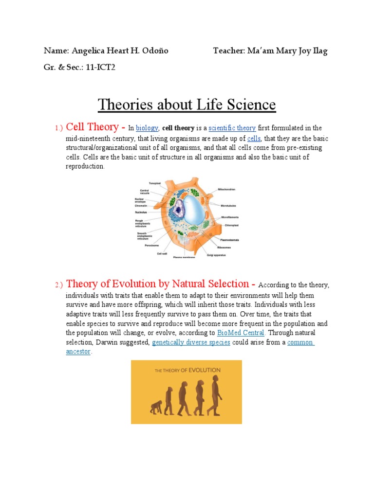 Theories About Life Science PDF
