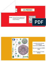 PROTIDES 2021-2022 (Sans Drépanotcytose) PDF