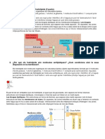 Soluciã Pau Tema 3 PDF