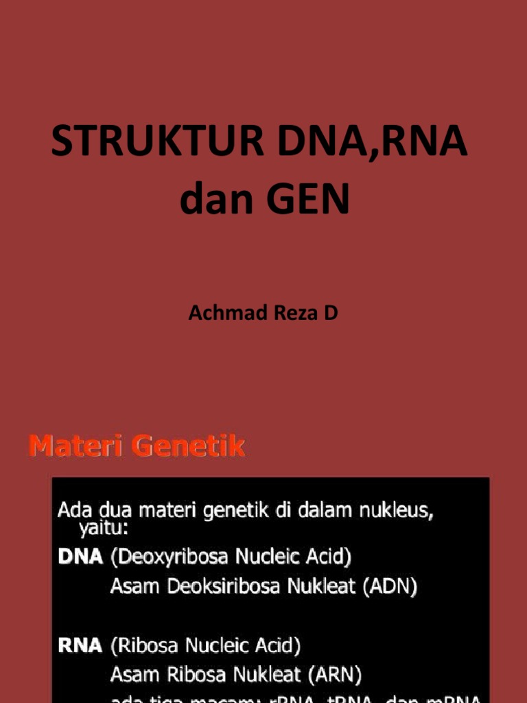 Struktur Dna Dan Rna | PDF | Sains & Matematika