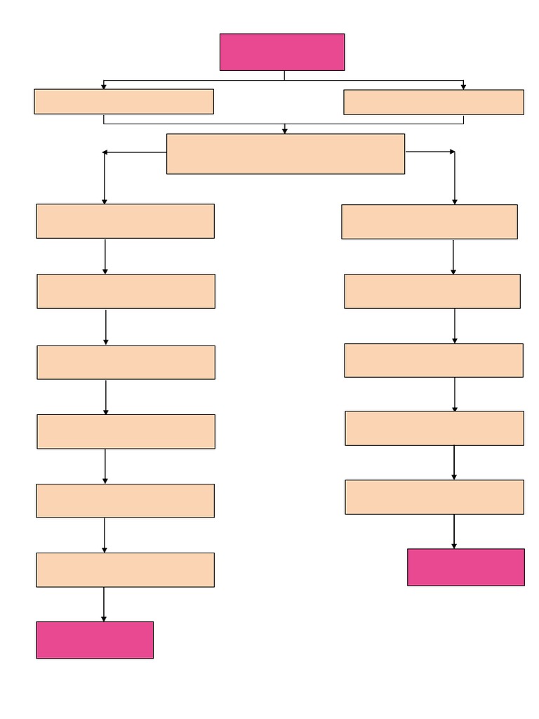 Firestop Working Method PDF PDF