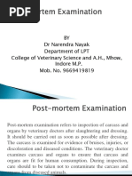 Post Mortem Examination PDF