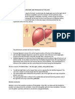 Anatomy and Physiology of The Liver