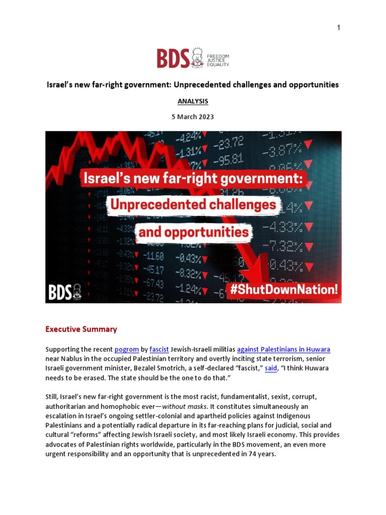 BDS Analysis of New Israeli Government PDF Israel World Politics