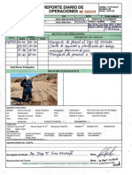 Anexo 11 - Reportes Diarios Operativos de Actividades de Campo PDF