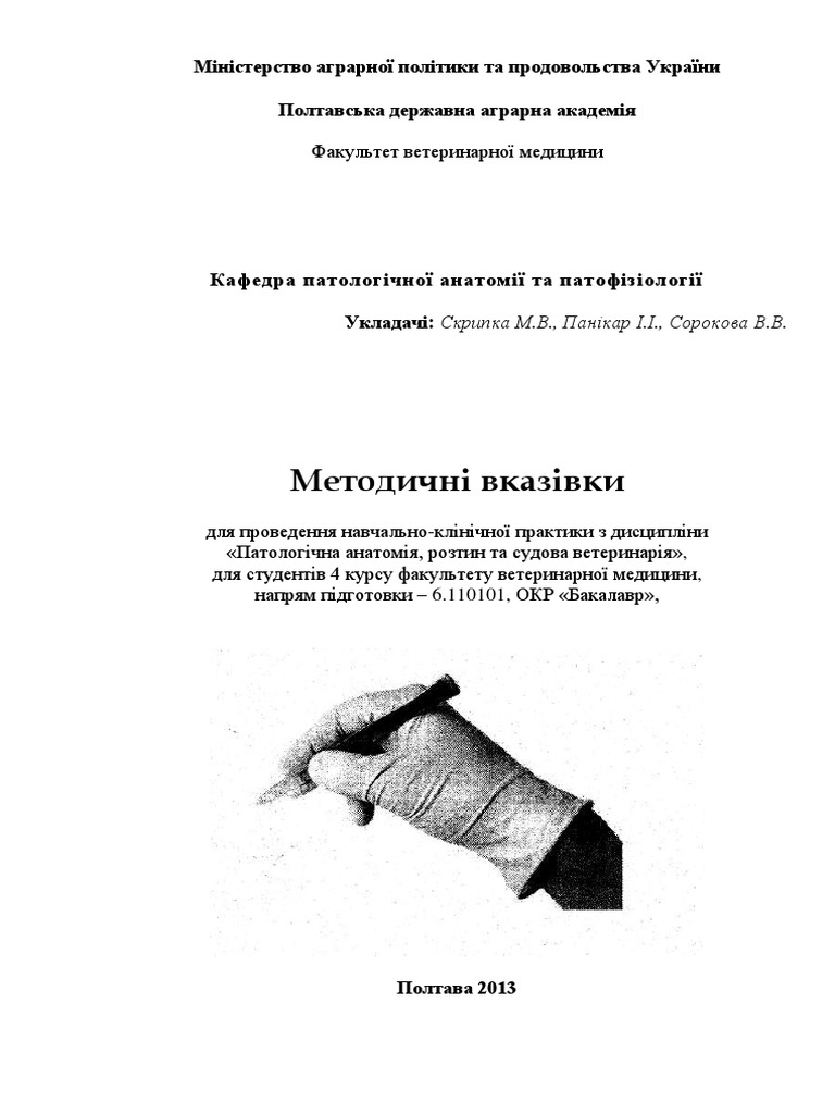 Metoduchkaznavchalnoipraktuku | PDF