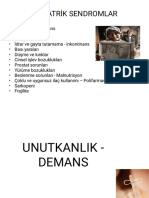 Demans Yeni PDF