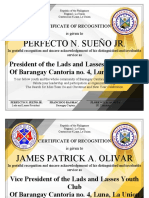 Perfecto N. Sueño JR.: President of The Lads and Lasses Youth Club of Barangay Cantoria No. 4, Luna, La Union