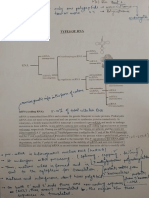 Types of RNA and DNA Puckering