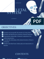 The Skeletal System: Activity 7