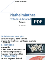 13.cestodes À L'état Adulte (Taenias) - 1 PDF