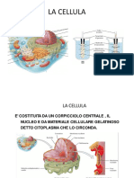 De Matteis - Anatomia1 20-21 PDF