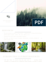 Presentation Title Forest