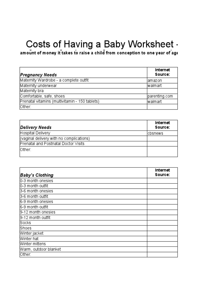Baby Budget Project PDF Childbirth Human Development