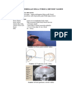 Anatomi Kepala