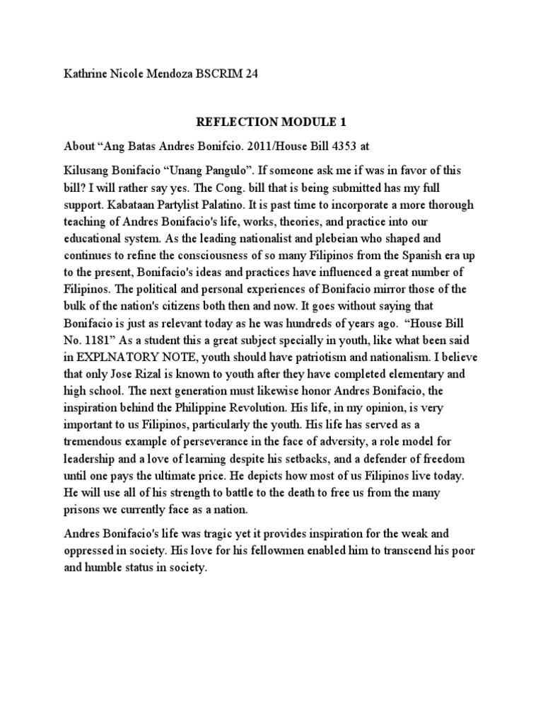 Bonifacio reflection pdf