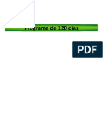 120 Days Program PDF