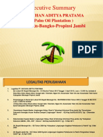 Executiv Summary PT - RAIHAN ADITYA PRATAMA, Merangin-Bangko-Jambi'21 (Riki) PDF