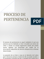 Proceso de Perteencia