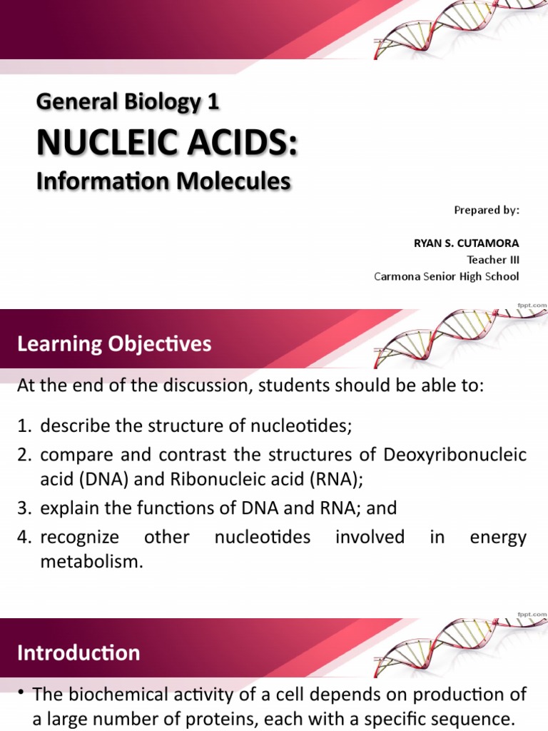 Biomolecules Nucleic Acids PDF Nucleic Acids Dna