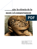 Apuntes de Psicologia PDF
