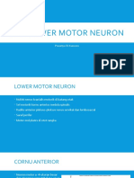 Lesi Lower Motor Neuron