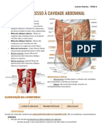 Vias de Acesso À Cavidade Abdominal