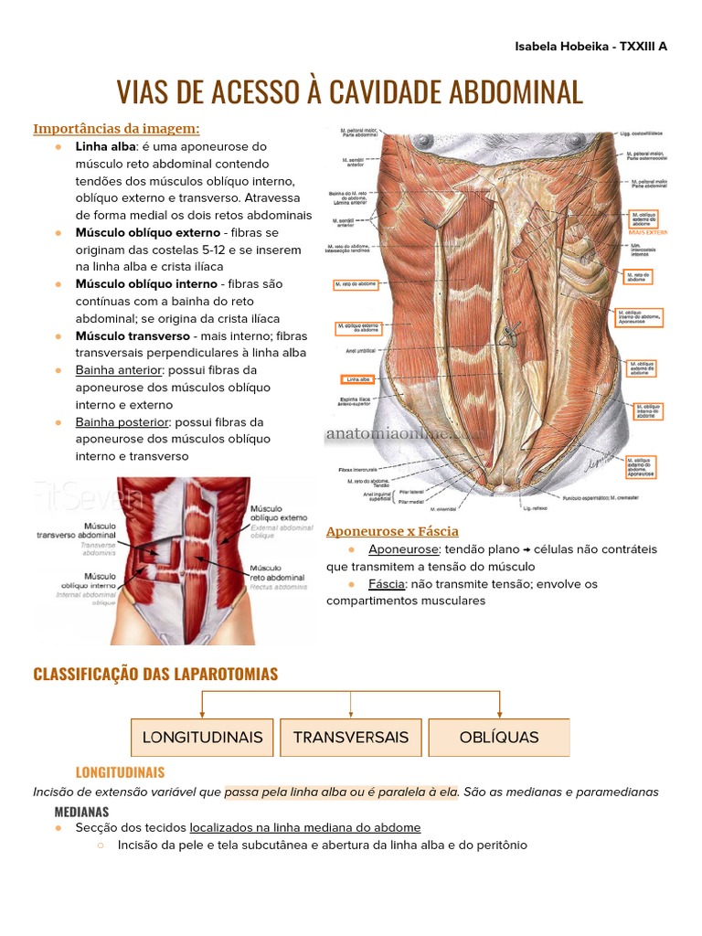 Vias de Acesso À Cavidade Abdominal | PDF | Anatomia | Sistema Locomotor, image size:768x1024