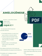 Trabalho Amelogenese PDF