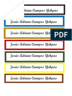 Jesús Adrian Campos Ychpas