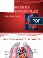 Sistema Cardiovascular: Dra. Sandra Prado