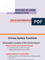 The Physiology of Urine Production: DR - Dr. Sri Lestari Sulistyo Rini, MSC