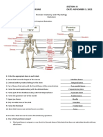 Human Anatomy and Physiology Worksheet