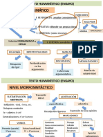 Texto Humanístico