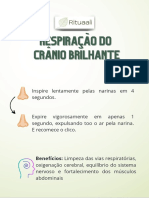 Situações Estressantes PDF