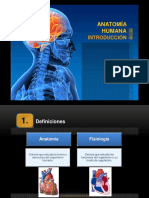Introduccion A Lamateria de Anatomia e Histologia PDF