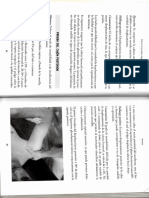 Img042 PDF