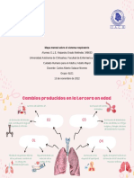 Evidencia 9. Mapa Mental Sobre El Sistema Respiratorio PDF